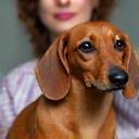 Olivia B. with her dachshund